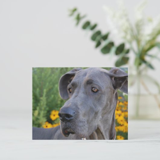 Briefkaart zoeken (Staand voorkant)