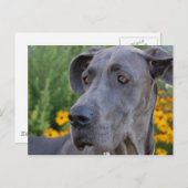  Briefkaart zoeken (Voorkant / Achterkant)