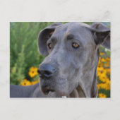 Briefkaart zoeken (Voorkant)