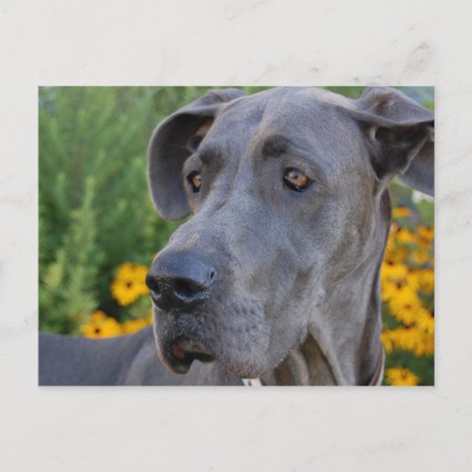  Briefkaart zoeken (Voorkant)