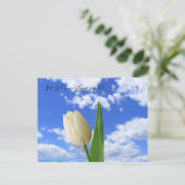 Briefkaart zoekt God White Tulip Blue Sky (Staand voorkant)
