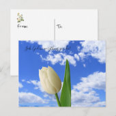 Briefkaart zoekt God White Tulip Blue Sky (Voorkant / Achterkant)