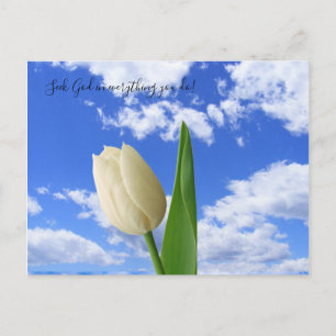 Briefkaart zoekt God White Tulip Blue Sky