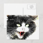 Briefkaart Zombie Cat (Voorkant / Achterkant)
