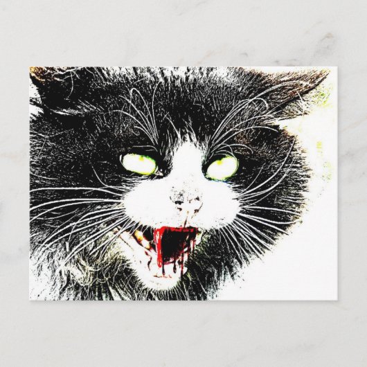 Briefkaart Zombie Cat (Voorkant)