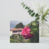 Briefkaart zomer (Staand voorkant)