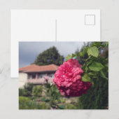 Briefkaart zomer (Voorkant / Achterkant)