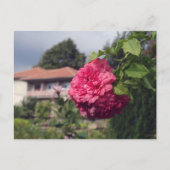 Briefkaart zomer (Voorkant)