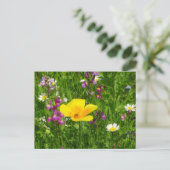 Briefkaart zomerbloemen (Staand voorkant)