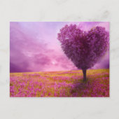 Briefkaart - zomerbloesem (Voorkant)