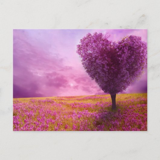 Briefkaart - zomerbloesem (Voorkant)