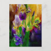 Briefkaart zomerleven (Voorkant)