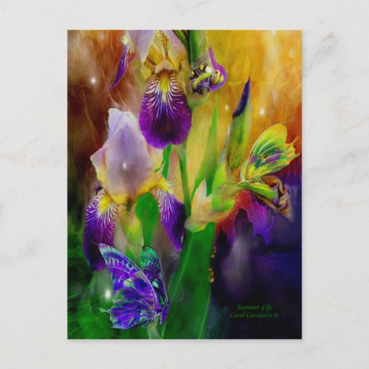 Briefkaart zomerleven (Voorkant)