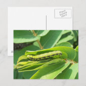 Briefkaart zonder kleerstof (Voorkant / Achterkant)