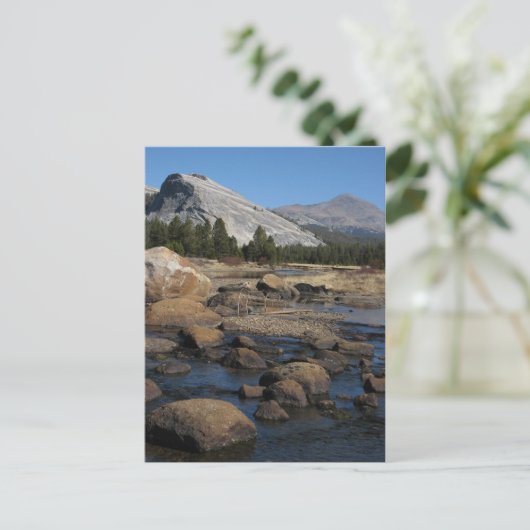 Briefkaart zonder titel (Staand voorkant)