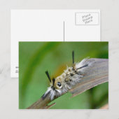 Briefkaart zonder titel (Voorkant / Achterkant)