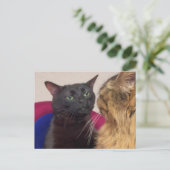 Briefkaart zoned uit Cat meme (Staand voorkant)