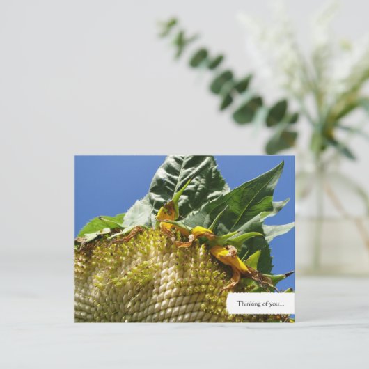  Briefkaart zonnebloem (Staand voorkant)