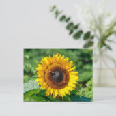 Briefkaart - Zonnebloem Vermont (Staand voorkant)