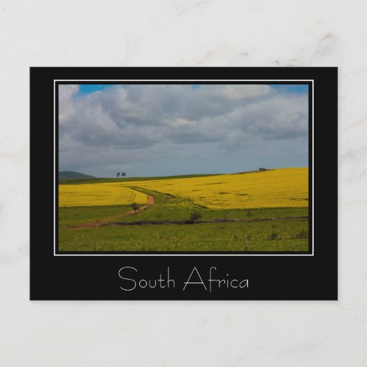 Briefkaart Zuid-Afrika Landschap Natuur Scenery (Voorkant)
