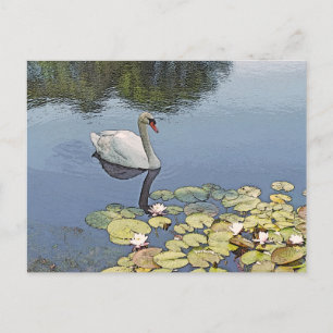 briefkaart, "ZWAAN GLIJDEN TUSSEN LELIEKUSSENS" Briefkaart
