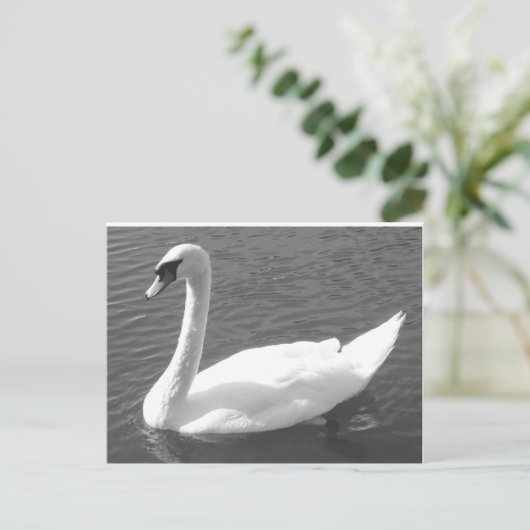 Briefkaart - Zwan in zwart-wit (Staand voorkant)