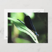 Briefkaart zwart/blauw (Voorkant / Achterkant)