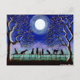 Briefkaart, zwart, katten, landschap, dagelijks, H Briefkaart