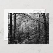 Briefkaart zwart-wit (Voorkant / Achterkant)