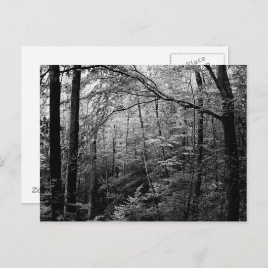 Briefkaart zwart-wit (Voorkant / Achterkant)