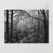 Briefkaart zwart-wit (Voorkant)