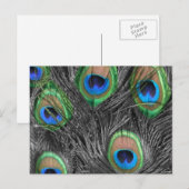Briefkaart zwart-wit (Voorkant / Achterkant)