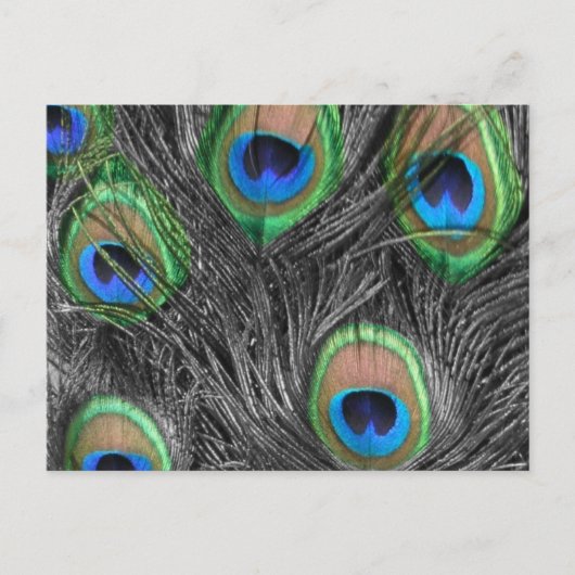 Briefkaart zwart-wit (Voorkant)