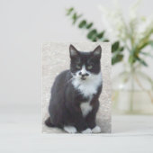 Briefkaart zwart-wit kat (Staand voorkant)
