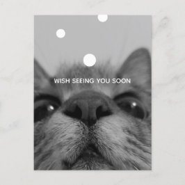 Briefkaart zwart-wit kattegezicht