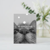 Briefkaart zwart-wit kattegezicht (Staand voorkant)