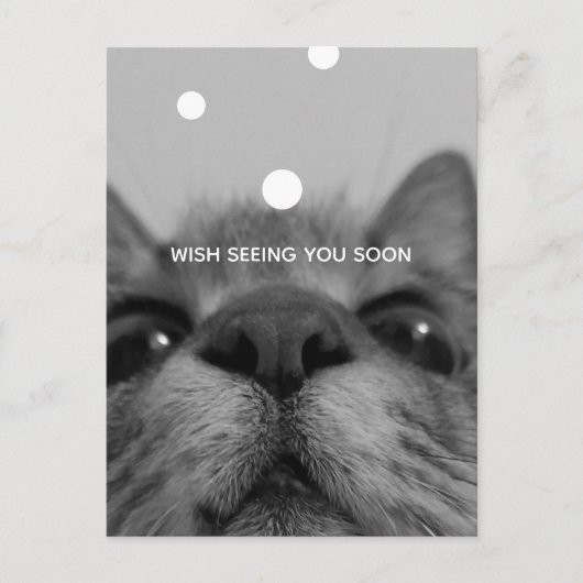 Briefkaart zwart-wit kattegezicht (Voorkant)