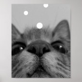Briefkaart zwart-wit kattegezicht poster (Voorkant)