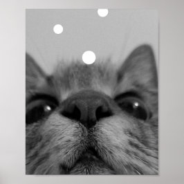 Briefkaart zwart-wit kattegezicht poster