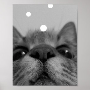 Briefkaart zwart-wit kattegezicht poster