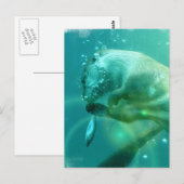 Briefkaart zwemmen (Voorkant / Achterkant)