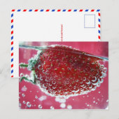Briefkaart "Zwemvesten bestaan" (Voorkant / Achterkant)