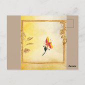 Briefkaarten (Achterkant)