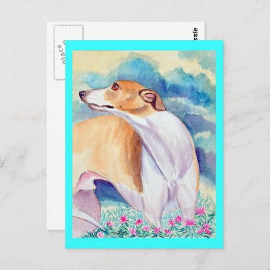 Briefkaarten (Voorkant / Achterkant)