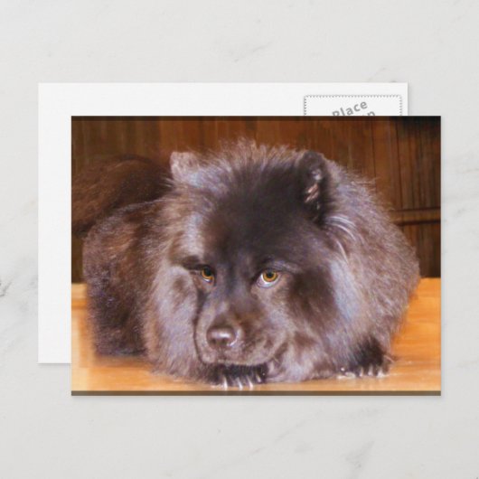 Briefkaarten (Voorkant / Achterkant)