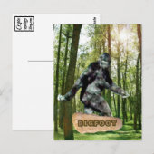 Briefkaarten (Voorkant / Achterkant)