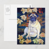 Briefkaarten (Voorkant / Achterkant)