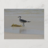 briefkaarten (Voorkant)