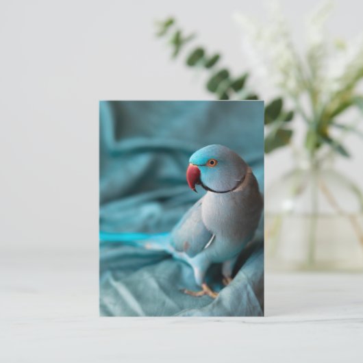 briefkaarten (Staand voorkant)