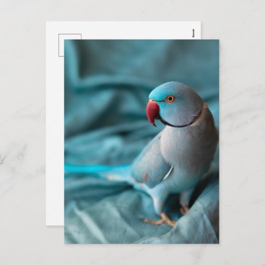 briefkaarten (Voorkant / Achterkant)